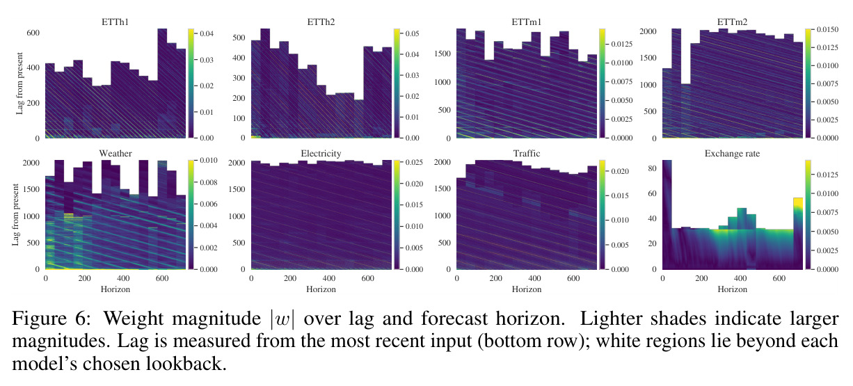 Weight magnitude |w| over lag and forecast horizon