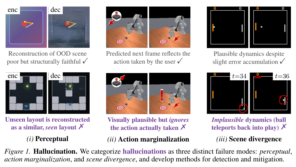 Hallucination. We categorize hallucinations as three distinct failure modes: perceptual, action marginalization, and scene divergence, and develop methods for detection and mitigation.