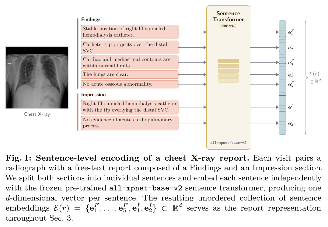 Sentence-level encoding of a chest X-ray report.