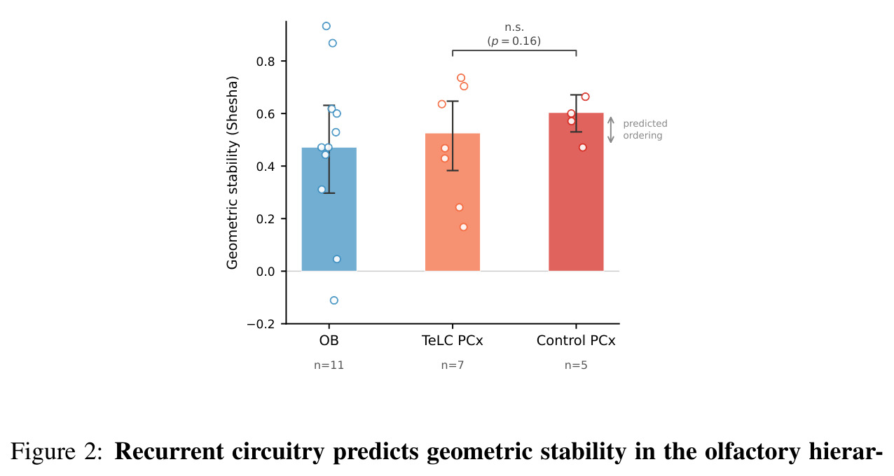 Recurrent circuitry predicts geometric stability in the olfactory hierarchy