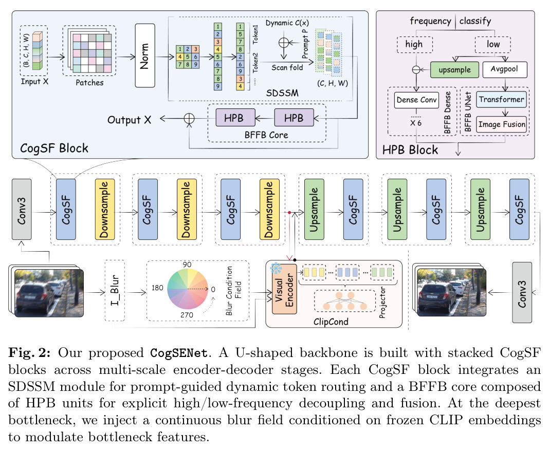 Our proposed CogSENet
