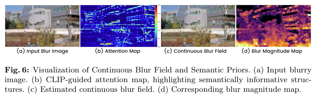 Visualization of Continuous Blur Field and Semantic Priors