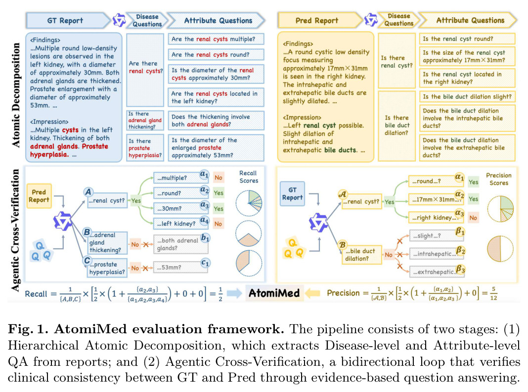 AtomiMed evaluation framework. The pipeline consists of two stages: (1) Hierarchical Atomic Decomposition, which extracts Disease-level and Attribute-level QA from reports; and (2) Agentic Cross-Verification, a bidirectional loop that verifies clinical consistency between GT and Pred through evidence-based question answering.