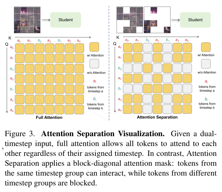 Attention Separation Visualization