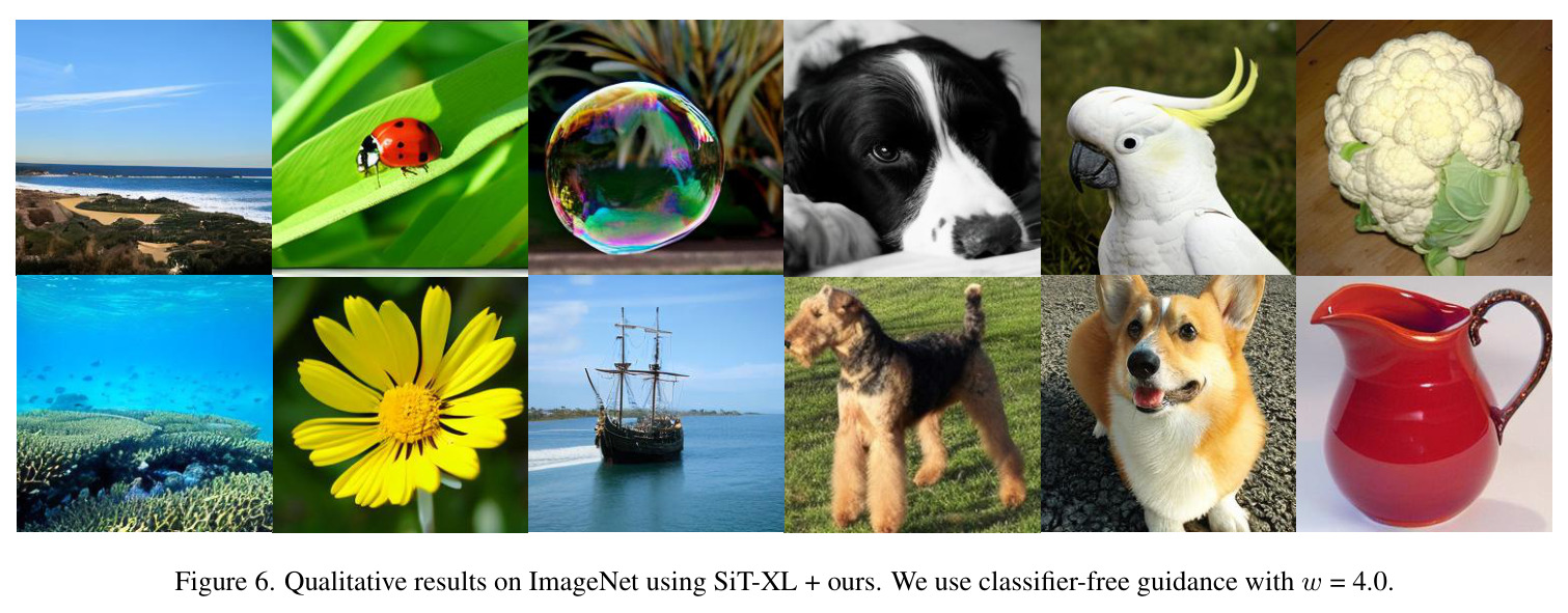 Qualitative results on ImageNet using SiT-XL + ours