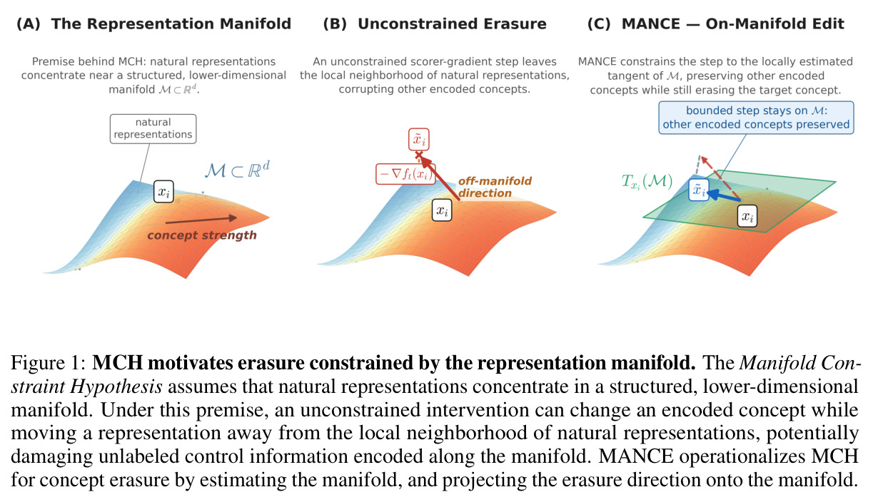 MCH motivates erasure constrained by the representation manifold