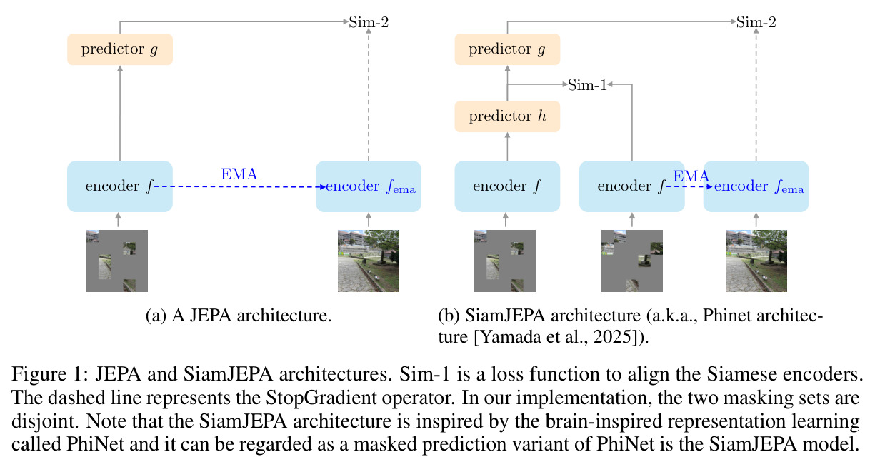JEPA and SiamJEPA architectures