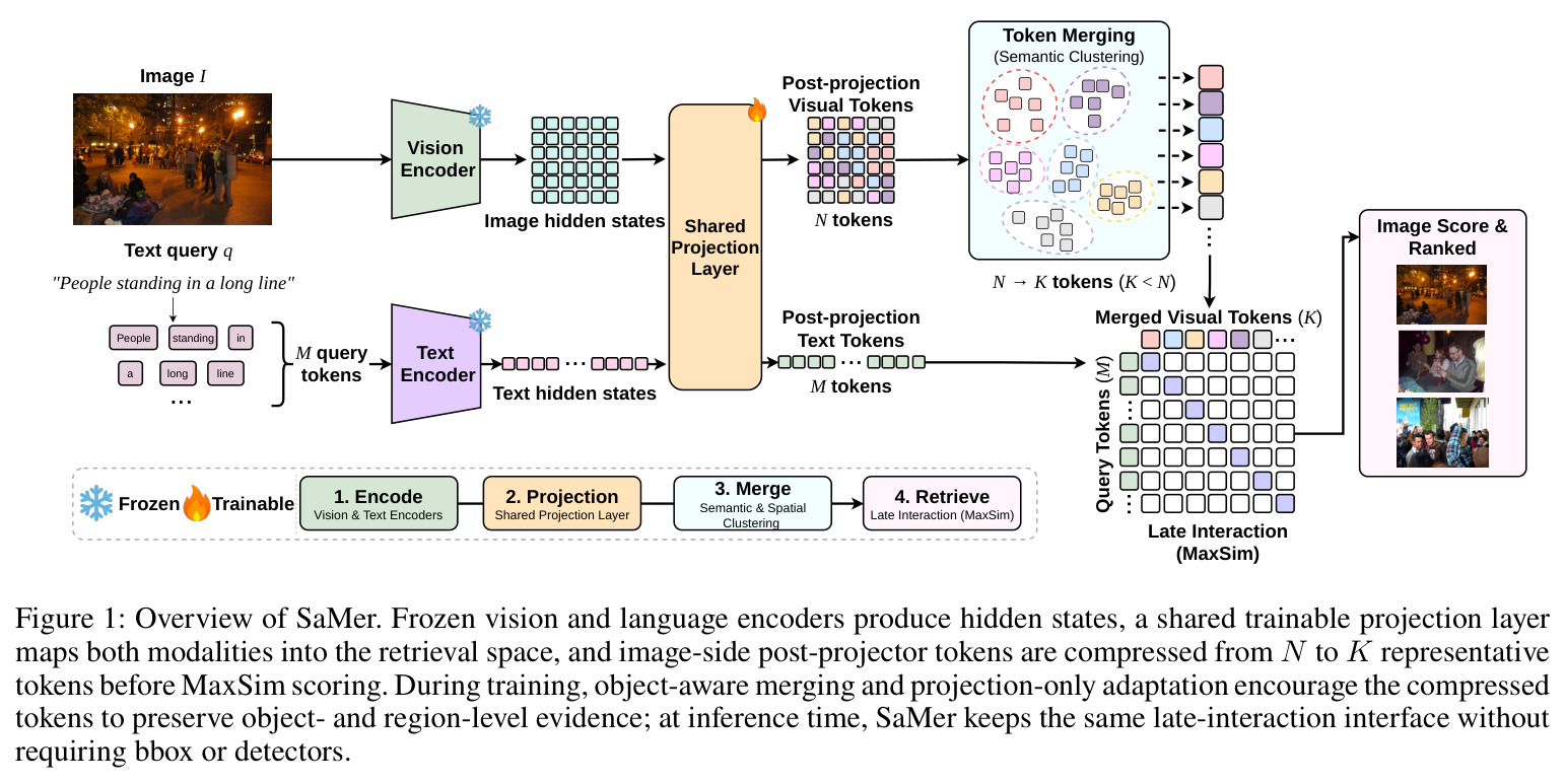 Overview of SaMer. Frozen vision and language encoders produce hidden states, a shared trainable projection layer maps both modalities into the retrieval space, and image-side post-projector tokens are compressed from N to K representative tokens before MaxSim scoring. During training, object-aware merging and projection-only adaptation encourage the compressed tokens to preserve object- and region-level evidence; at inference time, SaMer keeps the same late-interaction interface without requiring bbox or detectors.