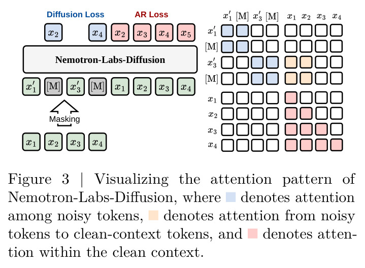 Nemotron-Labs-Diffusion注意力模式可视化