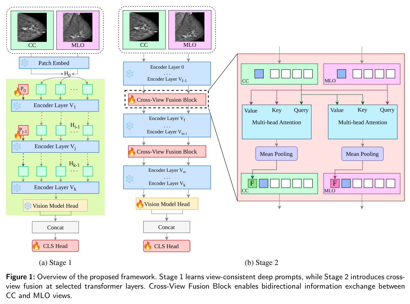 Overview of the proposed framework. Stage 1 learns view-consistent deep prompts, while Stage 2 introduces cross-view fusion at selected transformer layers. Cross-View Fusion Block enables bidirectional information exchange between CC and MLO views.