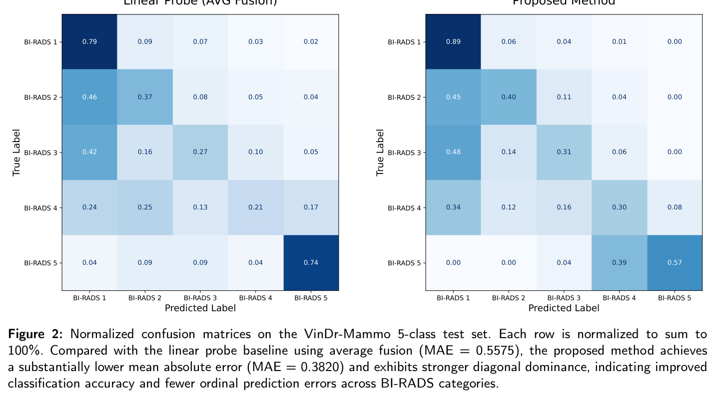 Normalized confusion matrices on the VinDr-Mammo 5-class test set. Each row is normalized to sum to 100%.