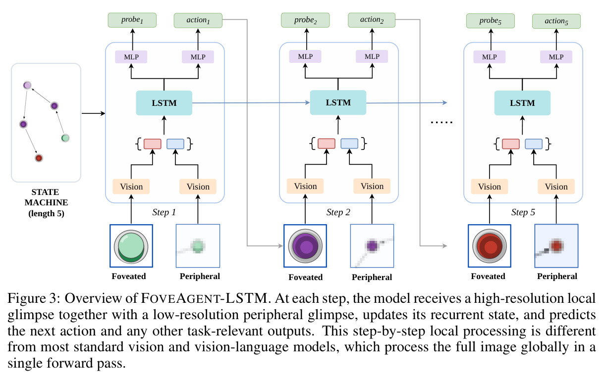 Overview of FOVEAGENT-LSTM
