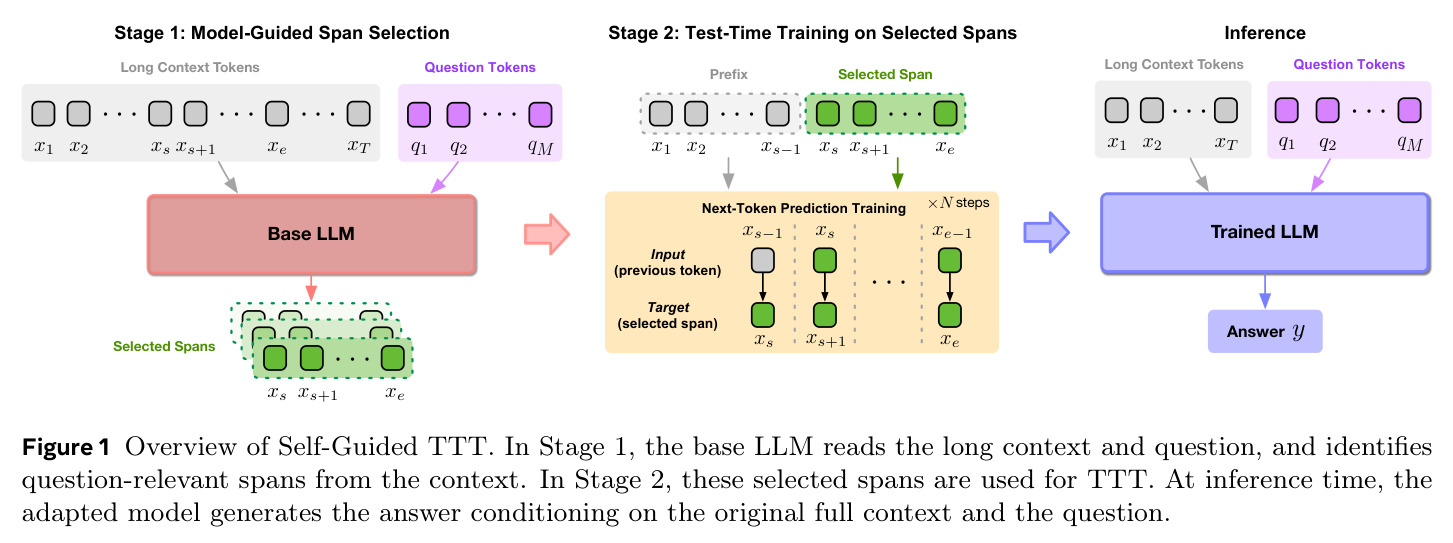 Overview of Self-Guided TTT
