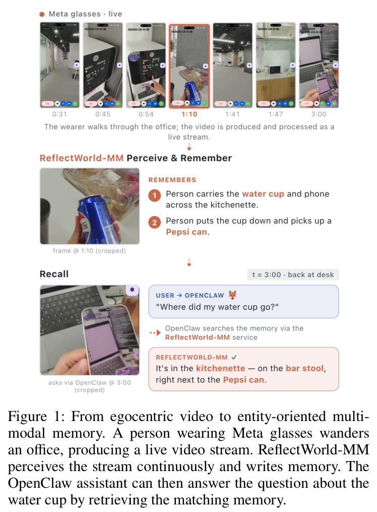 From egocentric video to entity-oriented multimodal memory