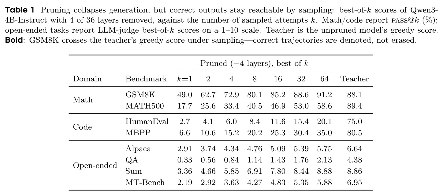 Pruning collapses generation, but correct outputs stay reachable by sampling：剪枝模型在各 benchmark 上 pass@k 随 k 上升的情况。