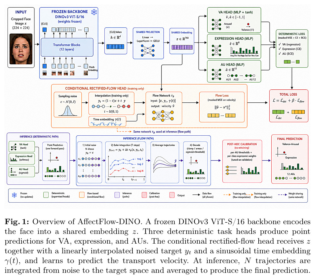 Overview of AffectFlow-DINO
