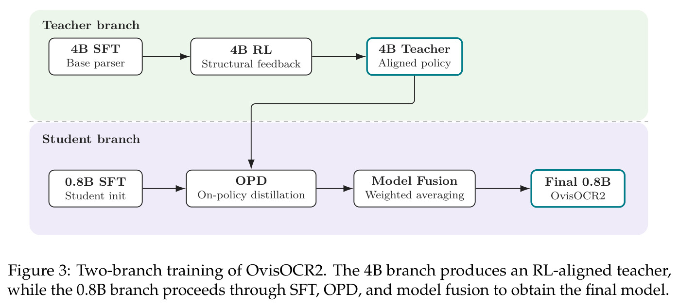 Two-branch training of OvisOCR2