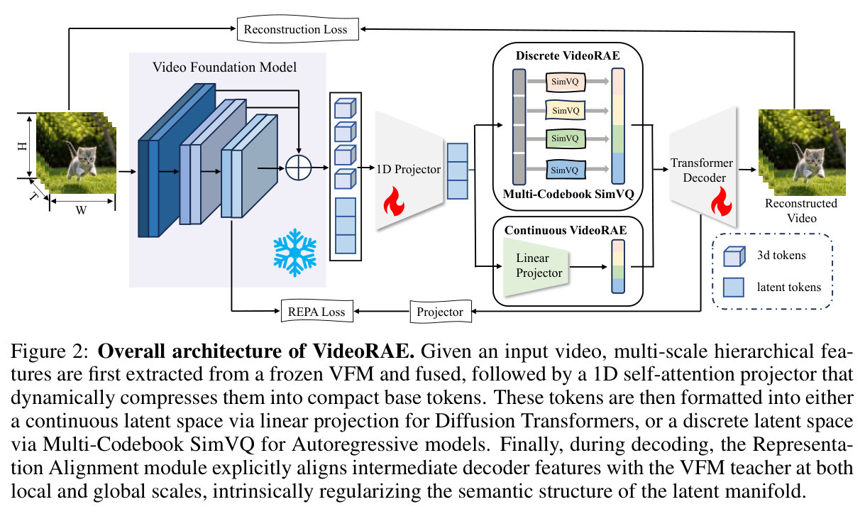 Overall architecture of VideoRAE.