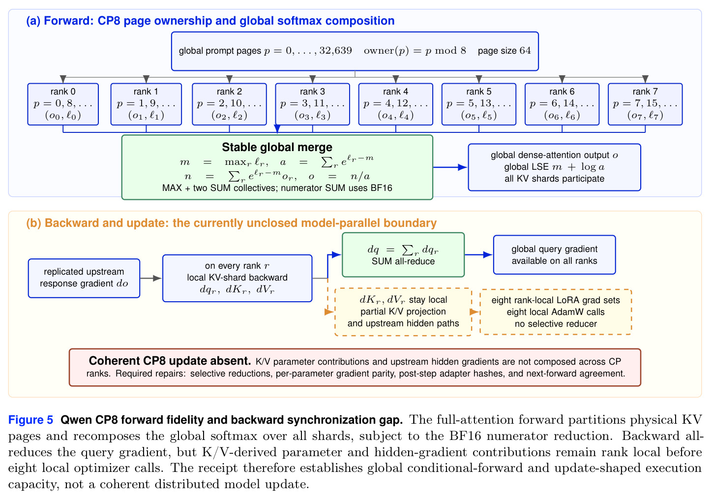 Qwen CP8 forward fidelity and backward synchronization gap