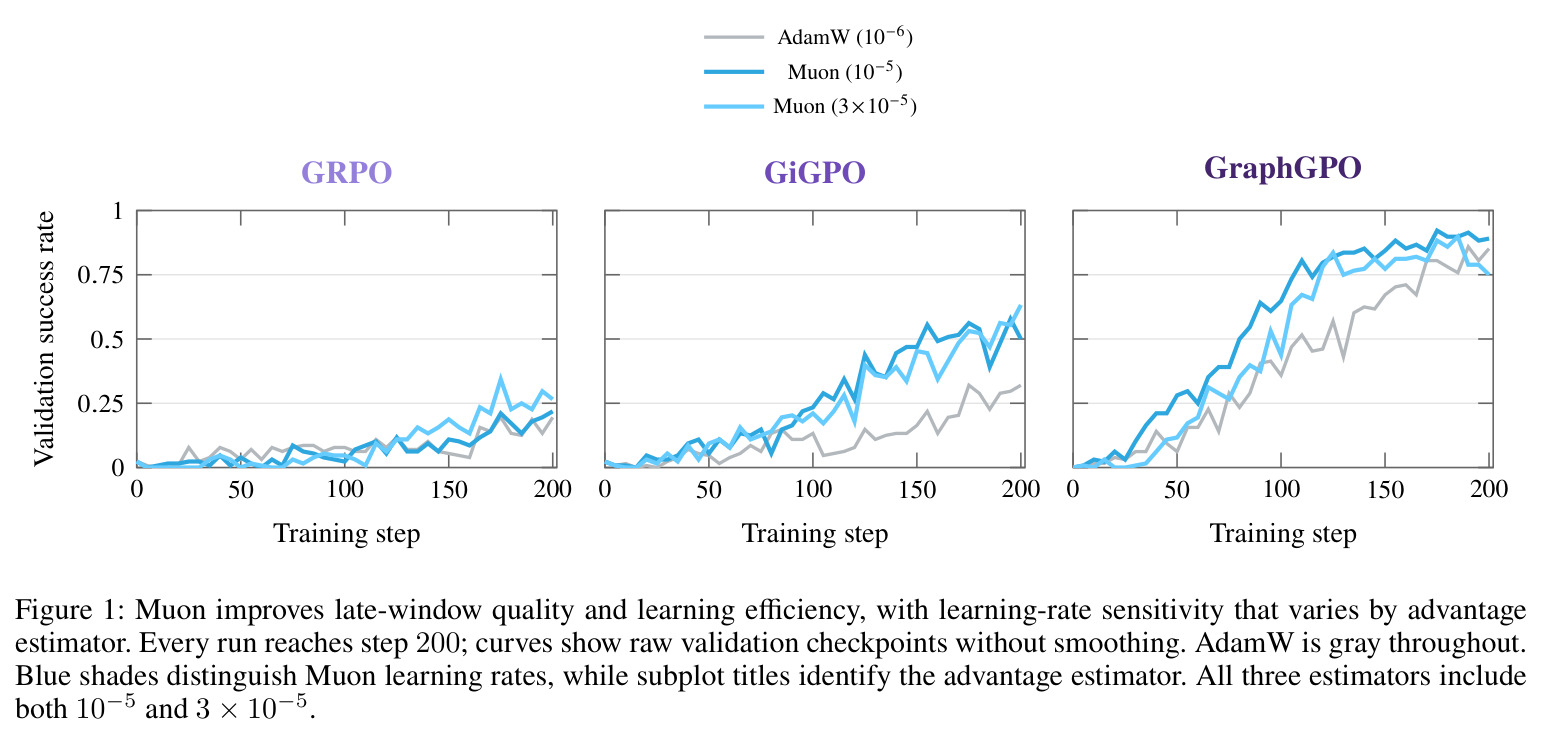 Muon improves late-window quality and learning efficiency, with learning-rate sensitivity that varies by advantage estimator.