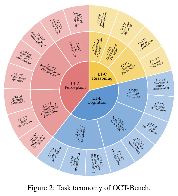 Task taxonomy of OCT-Bench.
