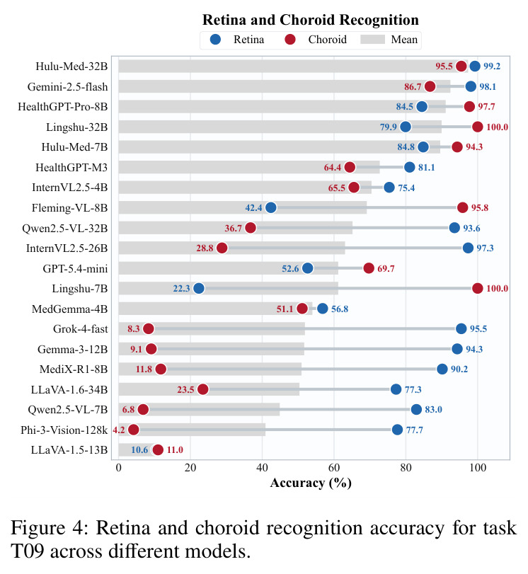 Retina and choroid recognition accuracy for task T09 across different models.