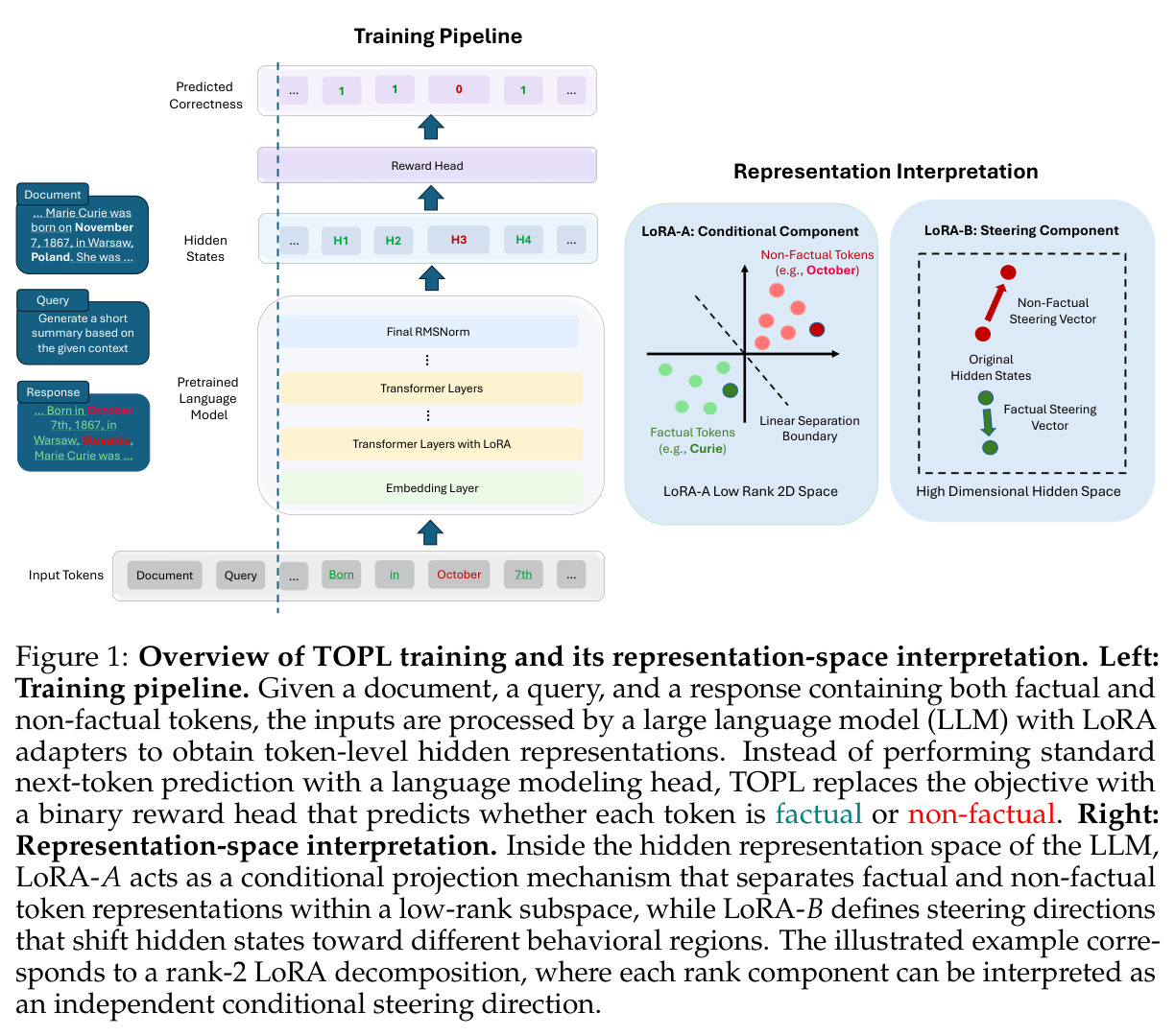 Overview of TOPL training and its representation-space interpretation.