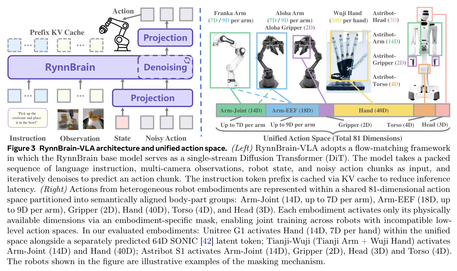 RynnBrain-VLA architecture and unified action space.
