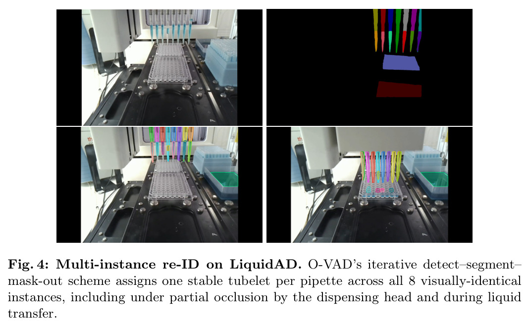 Multi-instance re-identification on LiquidAD