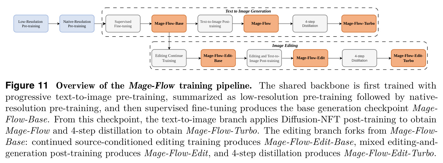 Overview of the Mage-Flow training pipeline