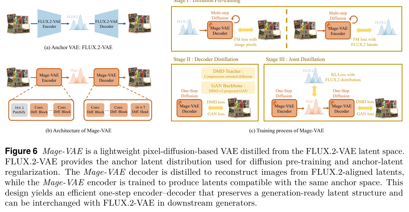 Mage-VAE architecture and training process