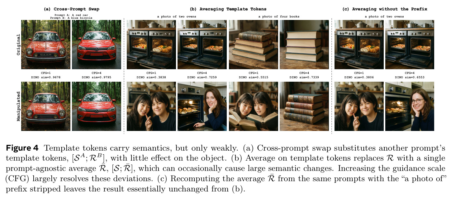 Template tokens carry semantics, but only weakly. (a) Cross-prompt swap substitutes another prompt's template tokens, [SA; RB], with little effect on the object. (b) Average on template tokens replaces R with a single prompt-agnostic average R̄, [S; R̄], which can occasionally cause large semantic changes. Increasing the guidance scale (CFG) largely resolves these deviations. (c) Recomputing the average R̄ from the same prompts with the "a photo of" prefix stripped leaves the result essentially unchanged from (b).