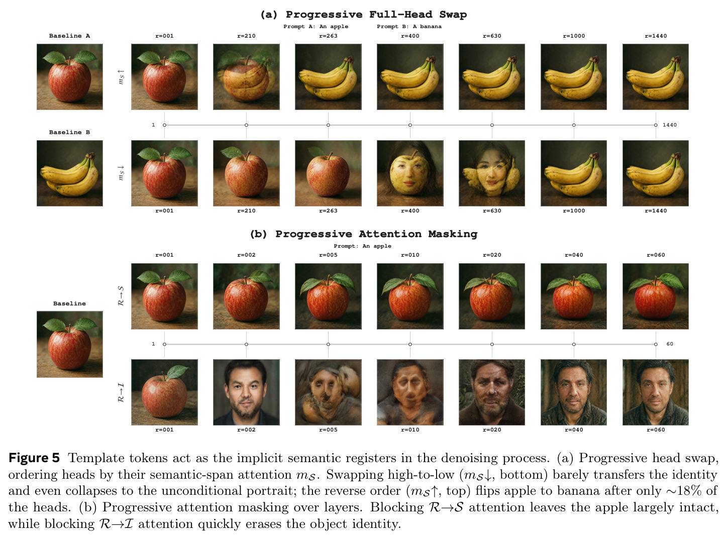 Template tokens act as the implicit semantic registers in the denoising process. (a) Progressive head swap, ordering heads by their semantic-span attention mS. Swapping high-to-low (mS↓, bottom) barely transfers the identity and even collapses to the unconditional portrait; the reverse order (mS↑, top) flips apple to banana after only ∼18% of the heads. (b) Progressive attention masking over layers. Blocking R→S attention leaves the apple largely intact, while blocking R→I attention quickly erases the object identity.