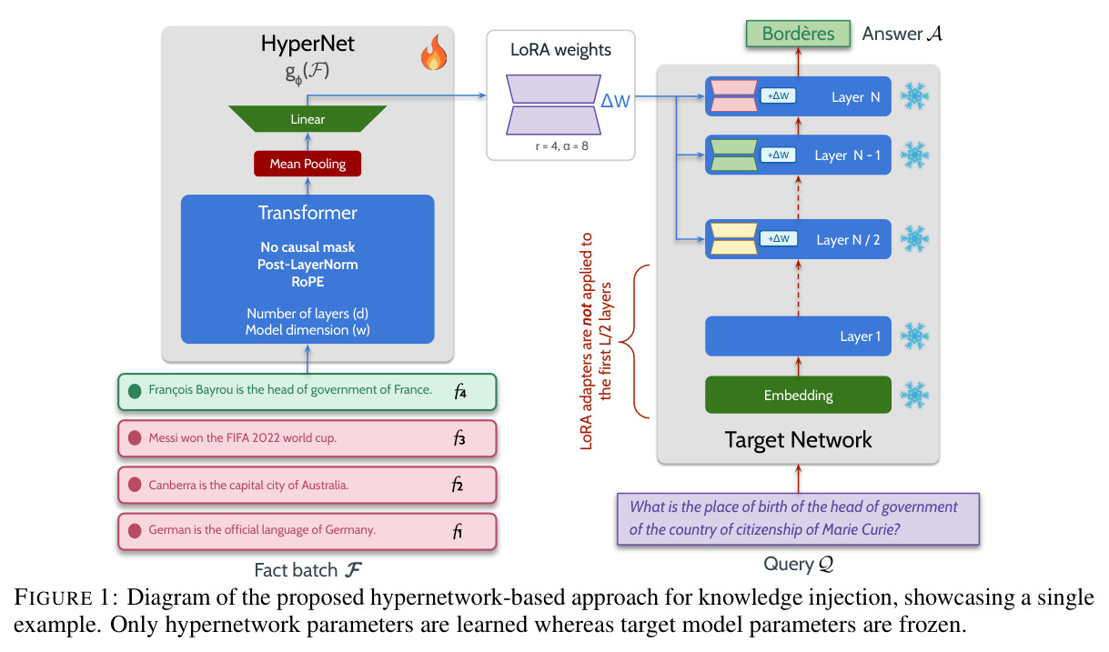 Diagram of the proposed hypernetwork-based approach for knowledge injection
