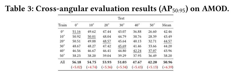 Cross-angular evaluation results (AP50:95) on AMOD