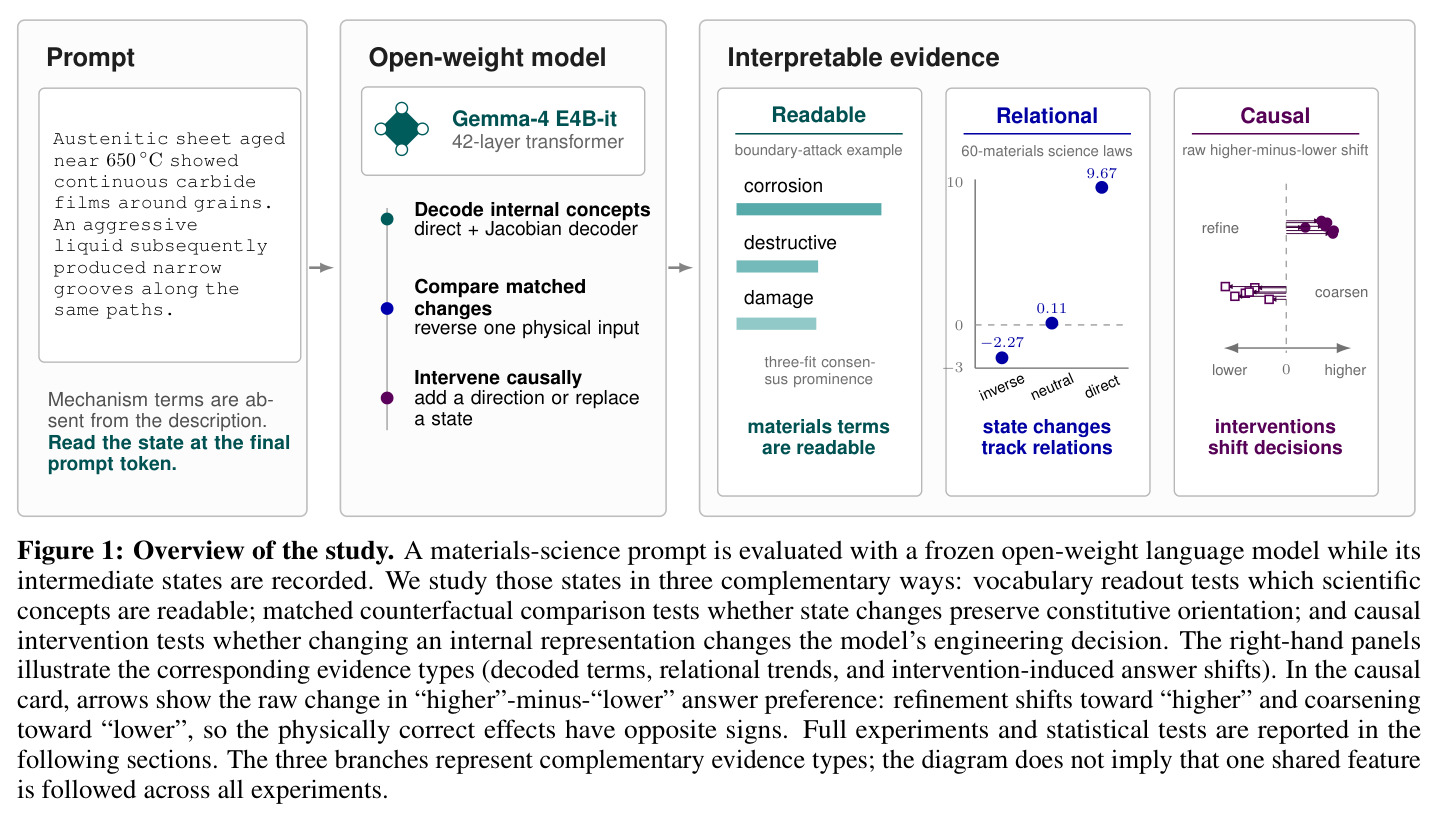 Overview of the study