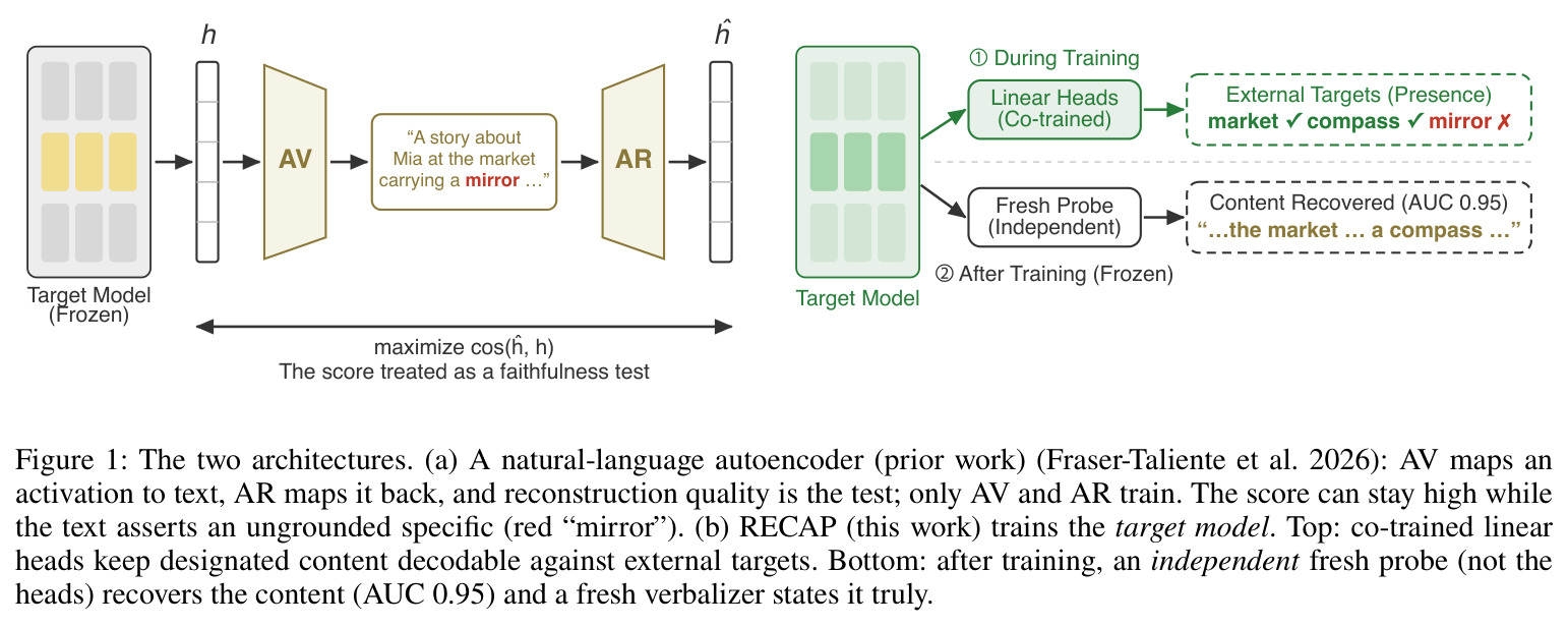 The two architectures. (a) A natural-language autoencoder (prior work): AV maps an activation to text, AR maps it back, and reconstruction quality is the test; only AV and AR train. The score can stay high while the text asserts an ungrounded specific (red 'mirror'). (b) RECAP (this work) trains the target model.