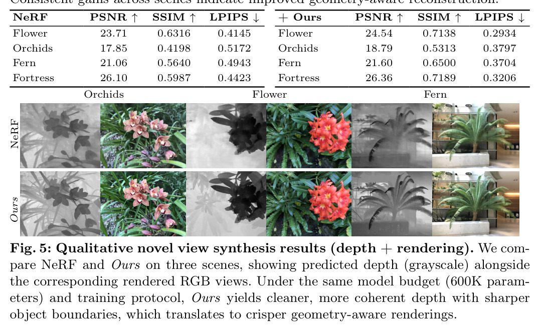 Qualitative novel view synthesis results (depth + rendering)