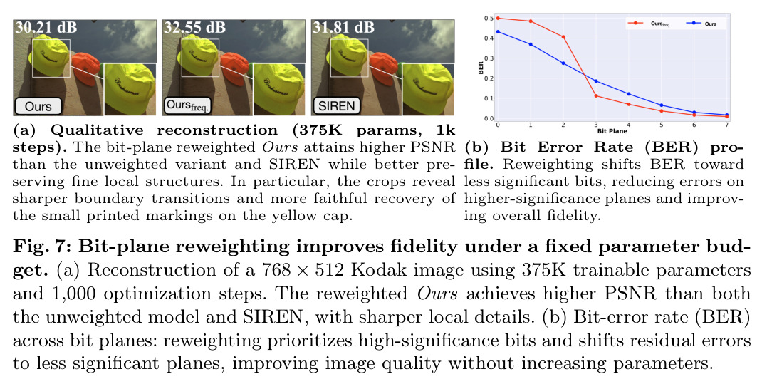 Bit-plane reweighting improves fidelity under a fixed parameter budget