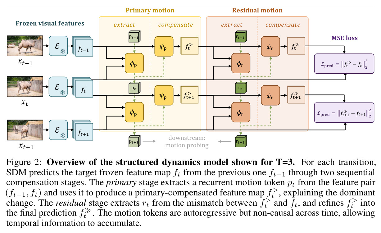 Overview of the structured dynamics model shown for T=3.