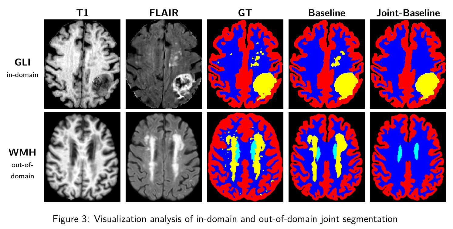 Visualization analysis of in-domain and out-of-domain joint segmentation.