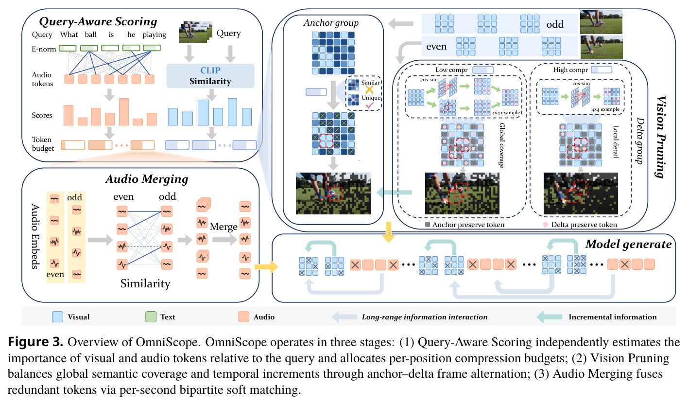 Overview of OmniScope.