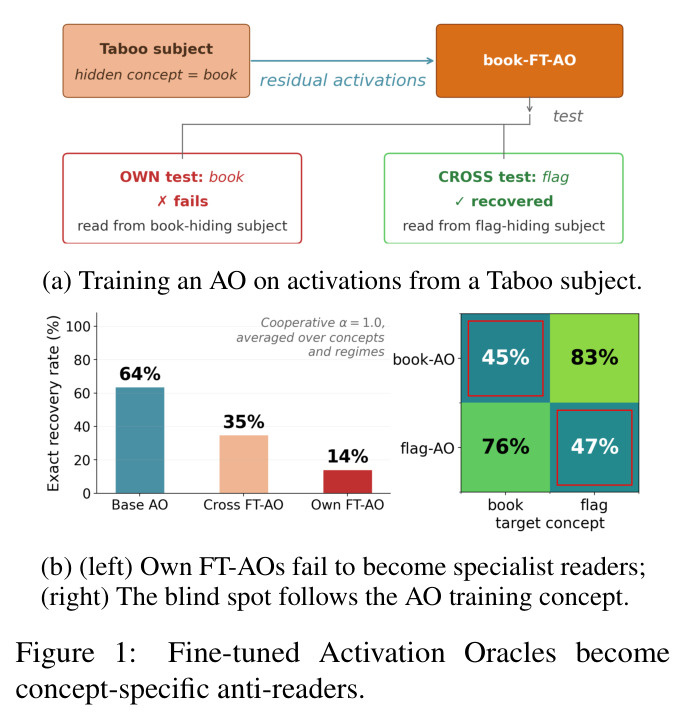 Fine-tuned Activation Oracles become concept-specific anti-readers.
