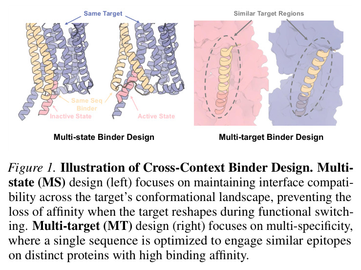 Illustration of Cross-Context Binder Design