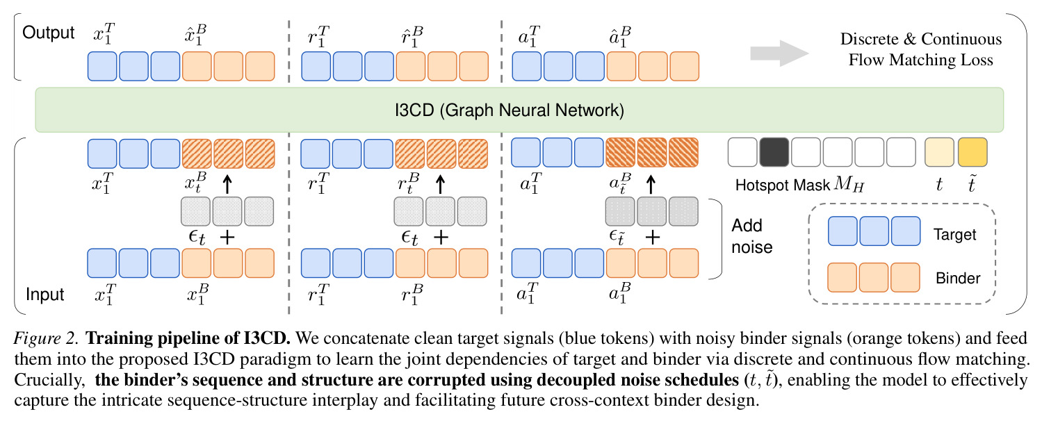 Training pipeline of I3CD