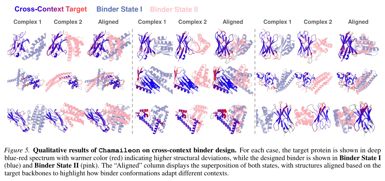 Qualitative results of Chamaileon on cross-context binder design