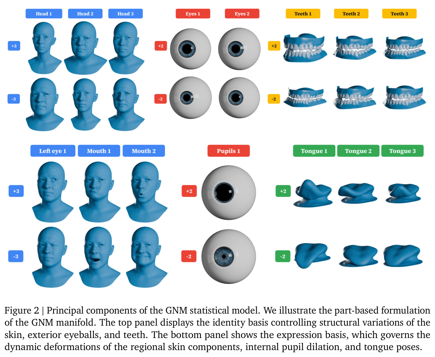 Principal components of the GNM statistical model
