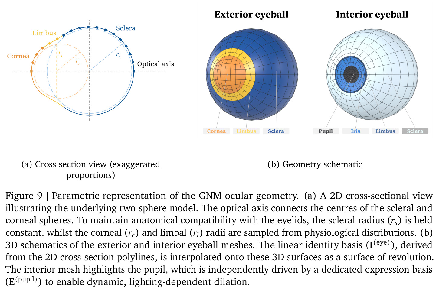 Parametric representation of the GNM ocular geometry