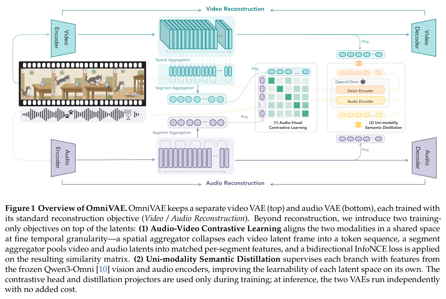 Overview of OmniVAE