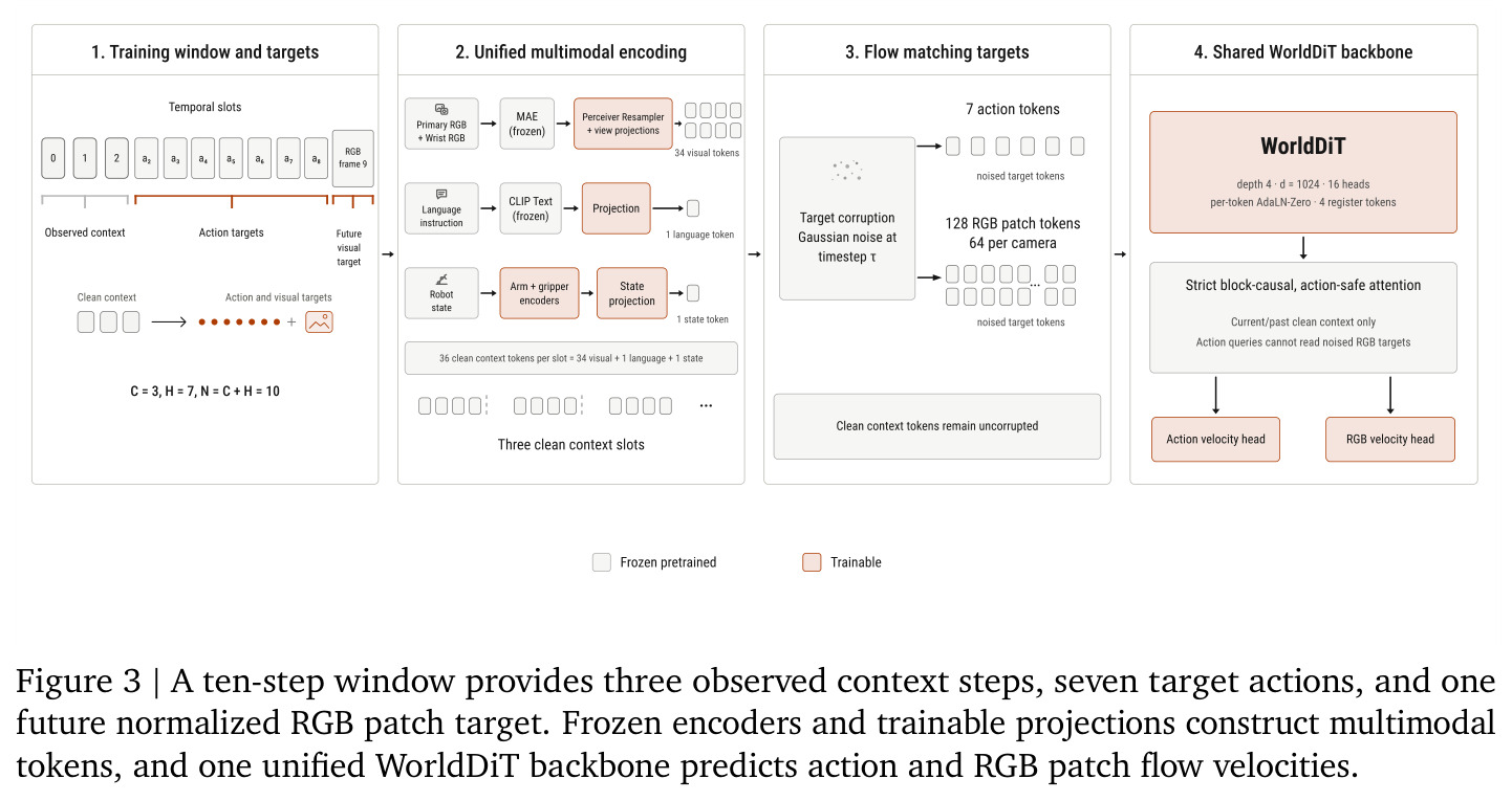 Unified WorldDiT backbone: training window, targets, encoding, and flow matching